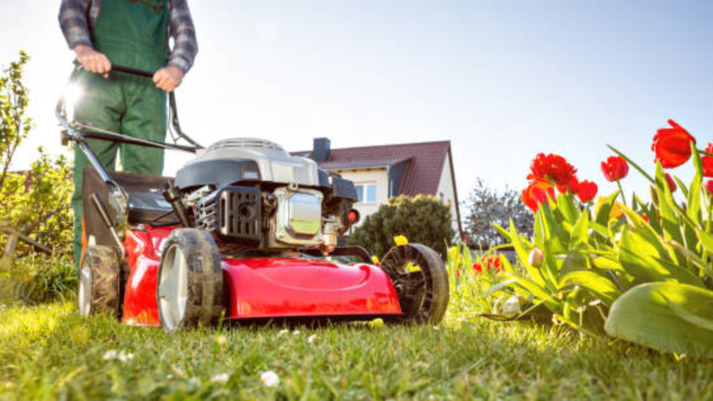 Lawn Mower Rental