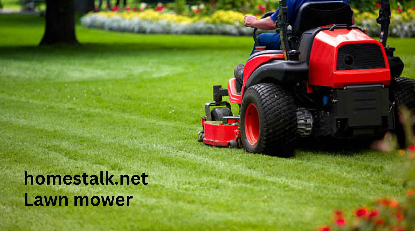 Lawn Mower Rental